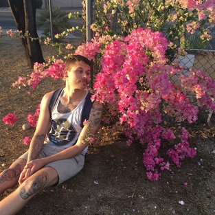 Picture